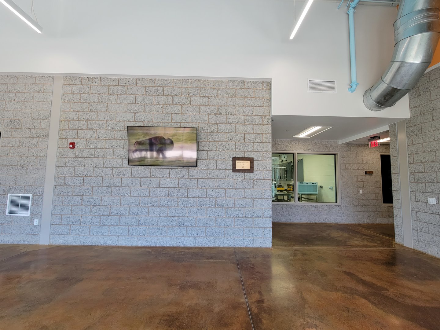 Rosamond Gifford - Inside new Animal Health Center