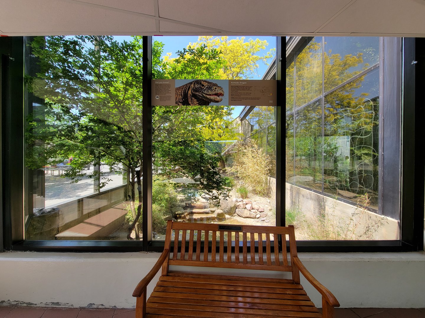 Rosamond Gifford - Komodo dragon outdoor exhibit