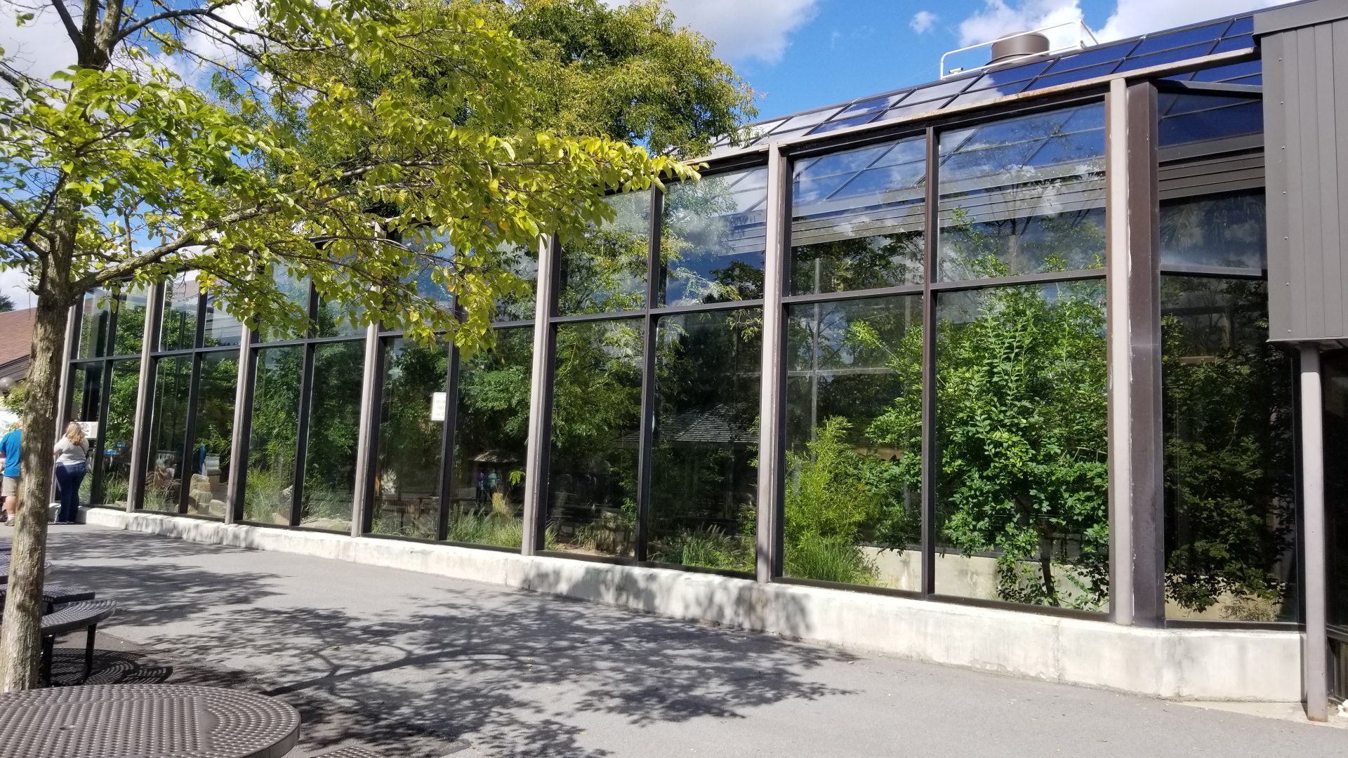 Rosamond Gifford - Komodo dragon / tropical aviary