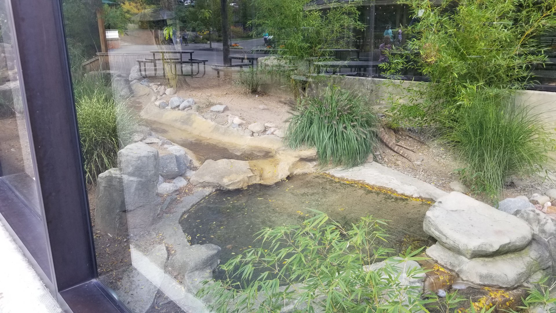 Rosamond Gifford - Komodo dragon / tropical aviary