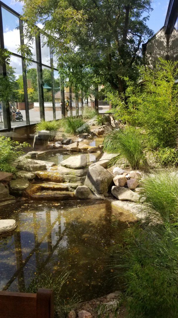Rosamond Gifford - Komodo dragon / tropical aviary