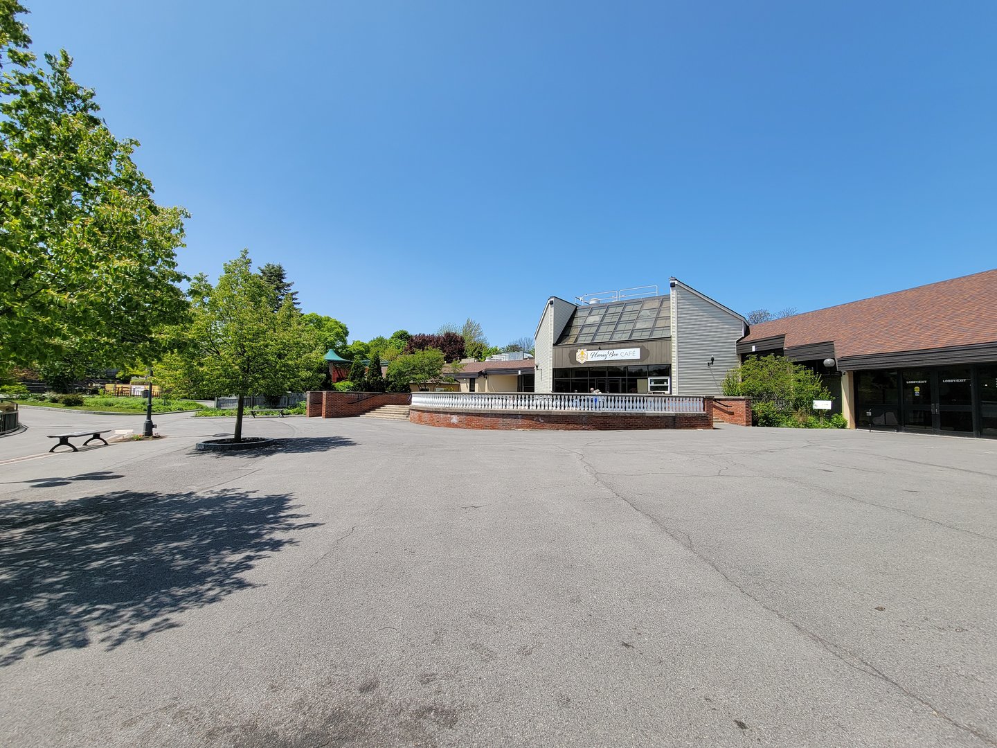 Rosamond Gifford - New Honey Bee Cafe