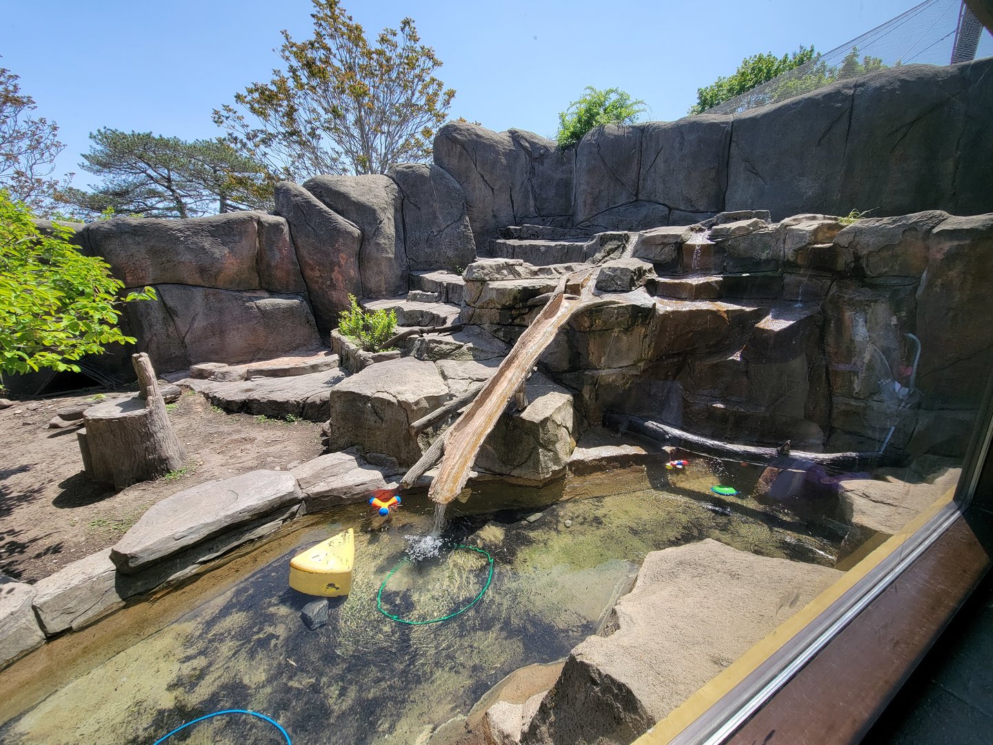 Rosamond Gifford - North American river otters