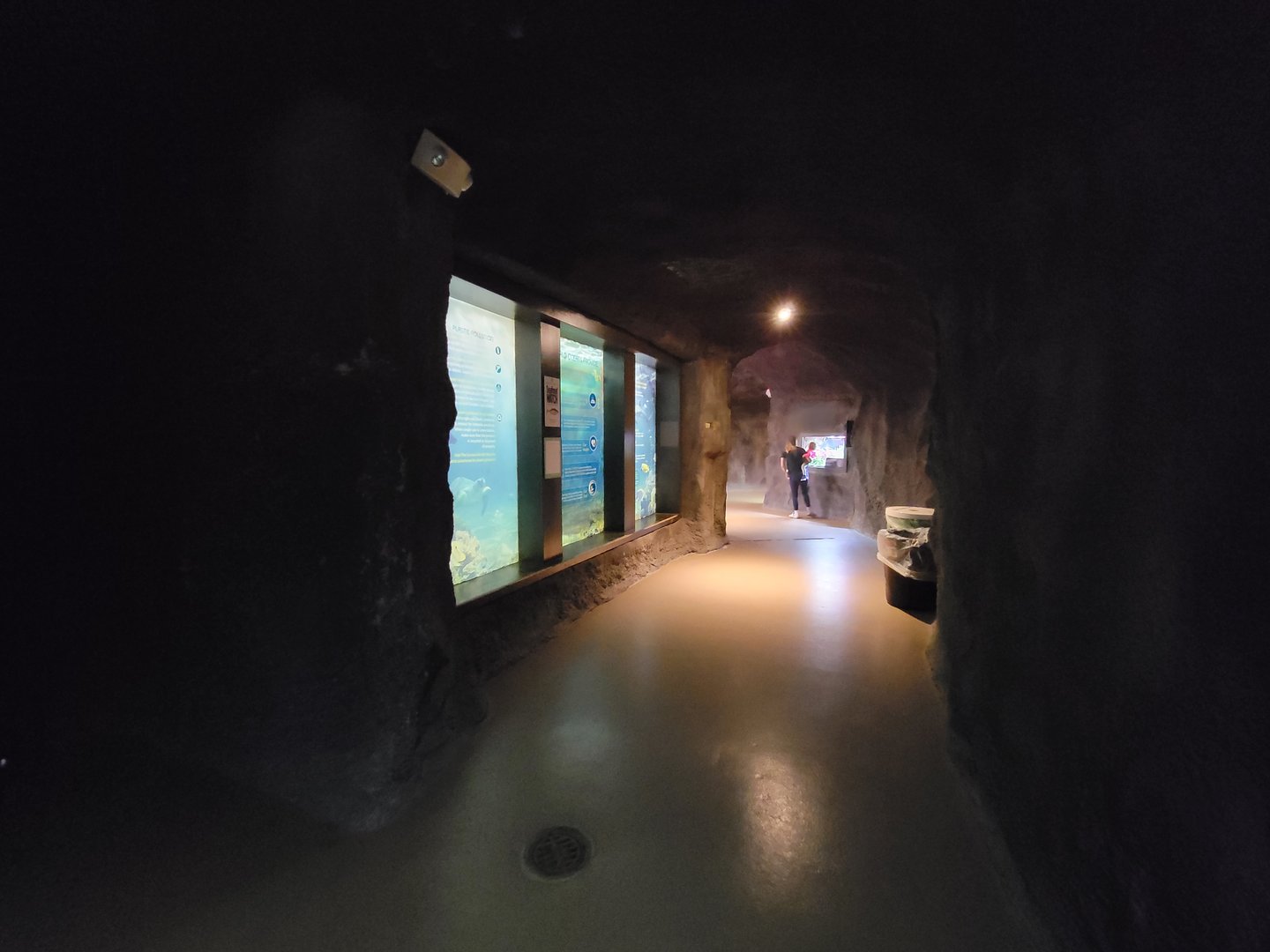 Rosamond Gifford - Ocean info tank with oldest fish