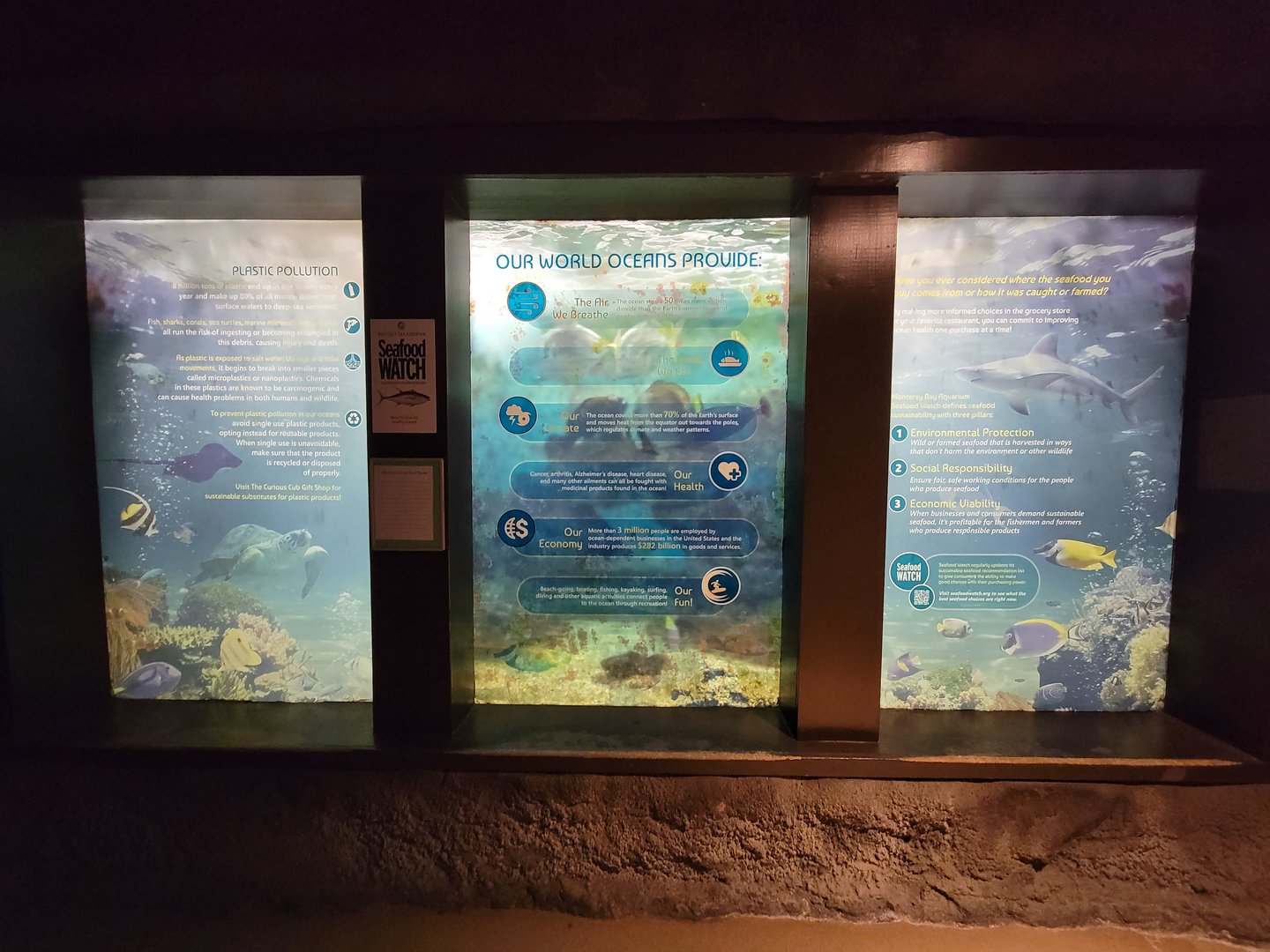 Rosamond Gifford - Ocean info tank with oldest fish