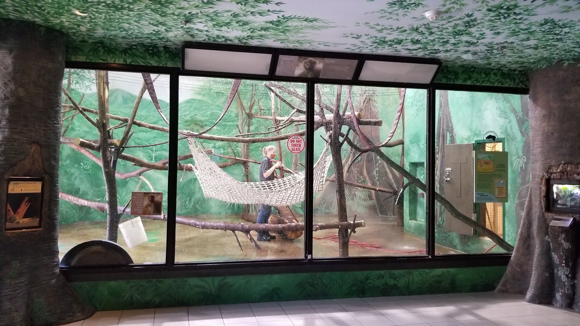 Rosamond Gifford - Patas monkey exhibit