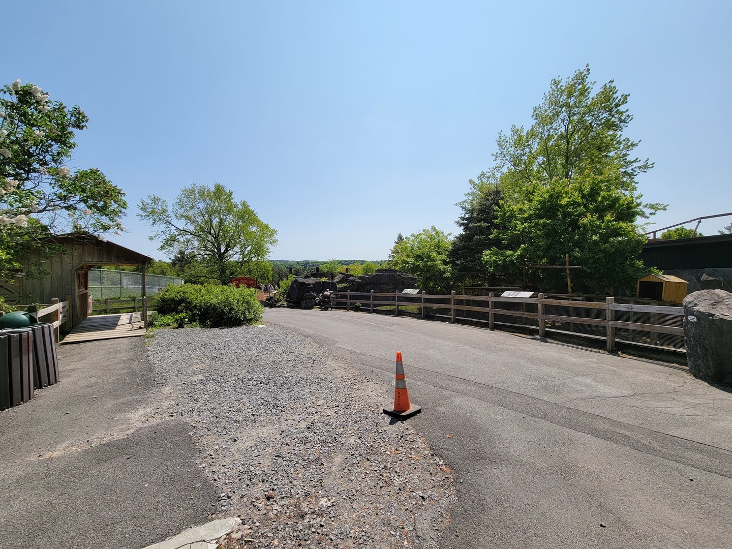 Rosamond Gifford - Path to elephants from snow leopards