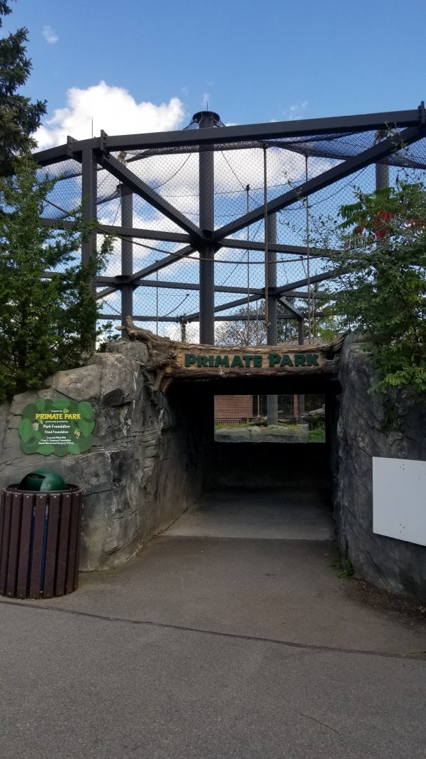 Rosamond Gifford - Primate Park rotating exhibit