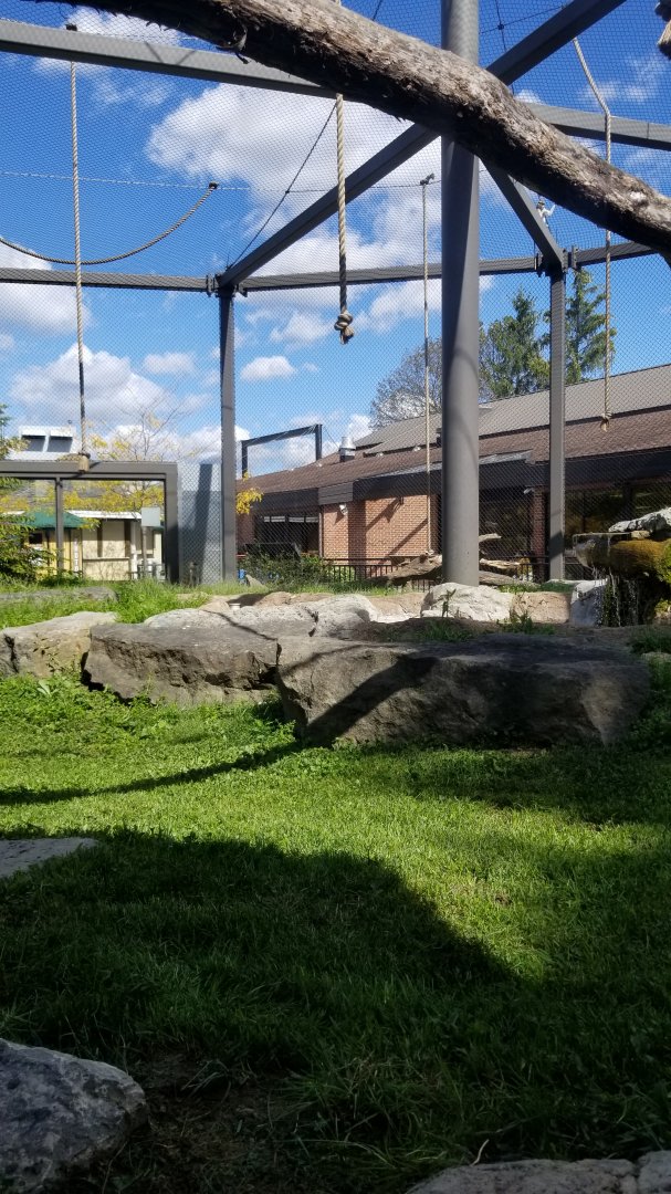 Rosamond Gifford - Primate Park rotating exhibit