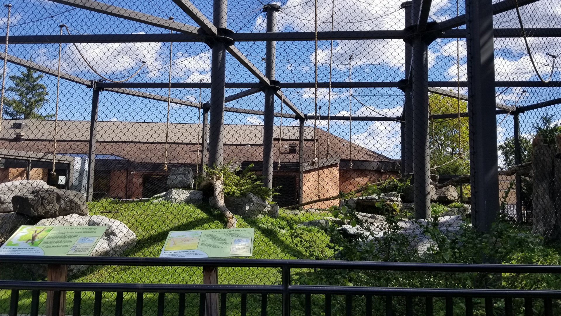 Rosamond Gifford - Primate Park rotating exhibit