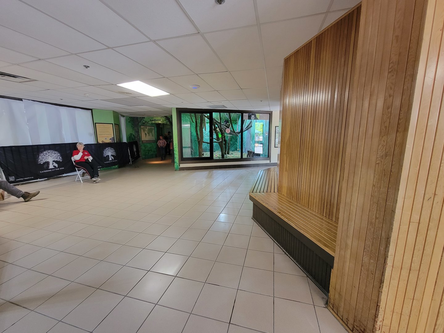 Rosamond Gifford - Rainforest area, temporary koala exhibit being built on left