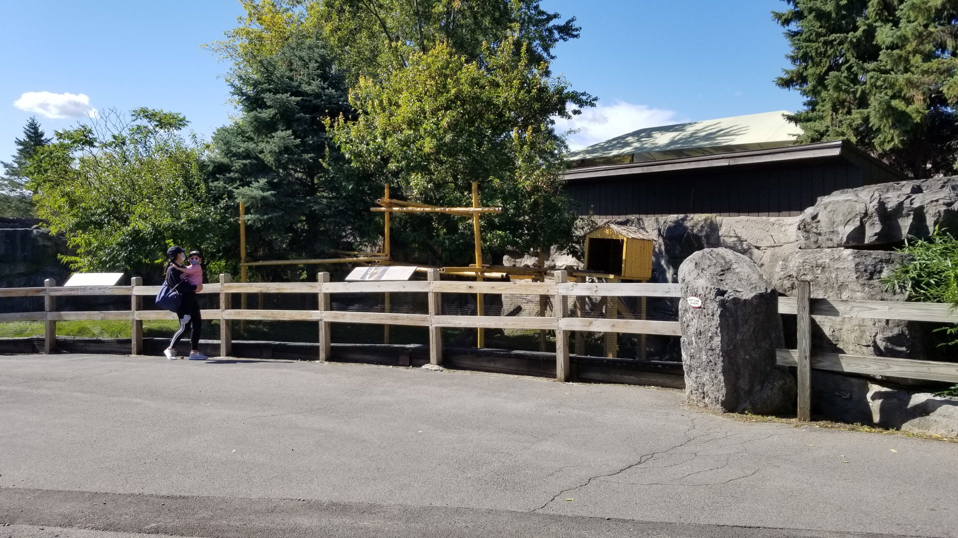 Rosamond Gifford - Red panda, Reeve's muntjac