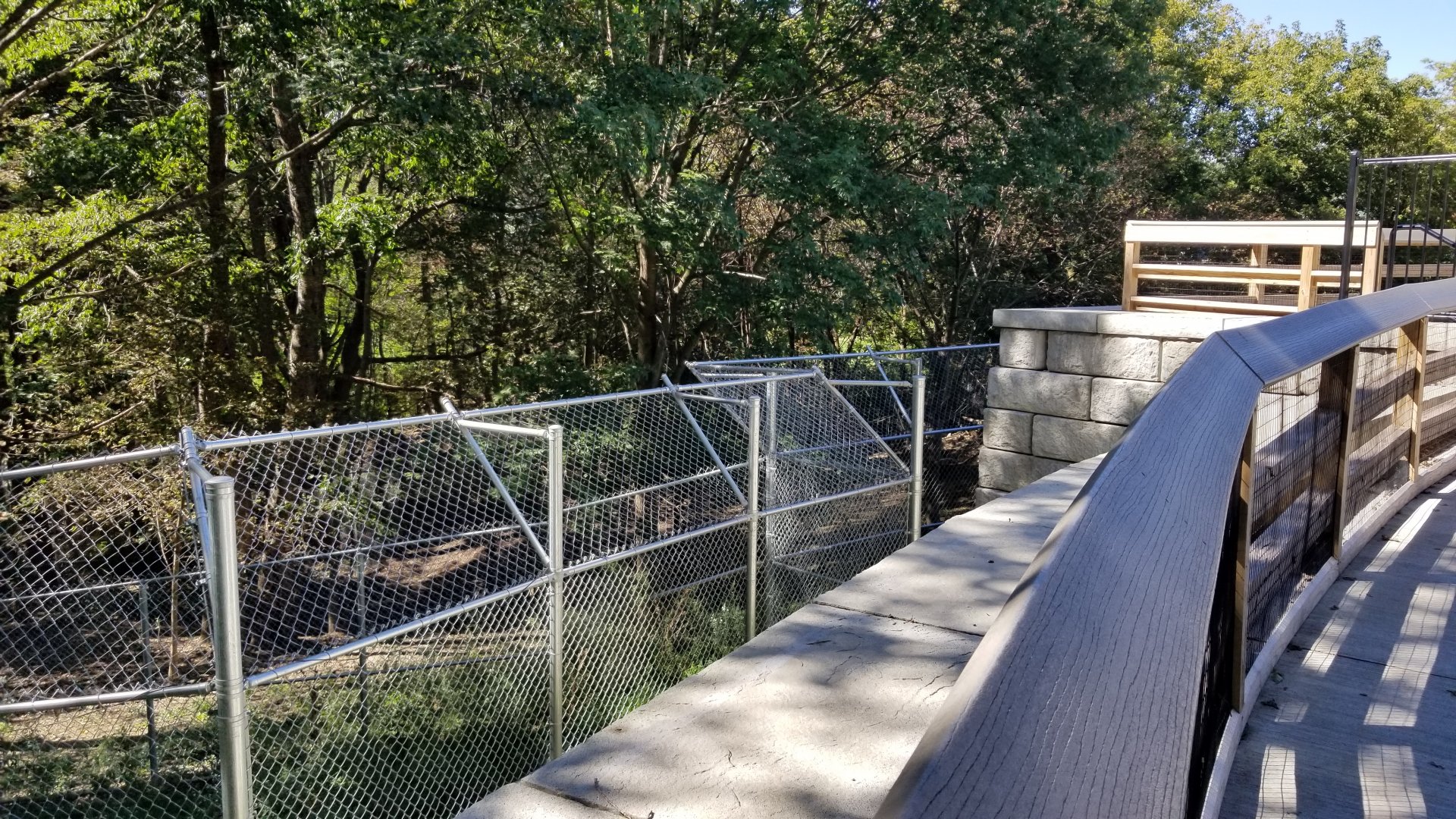 Rosamond Gifford - Red wolves