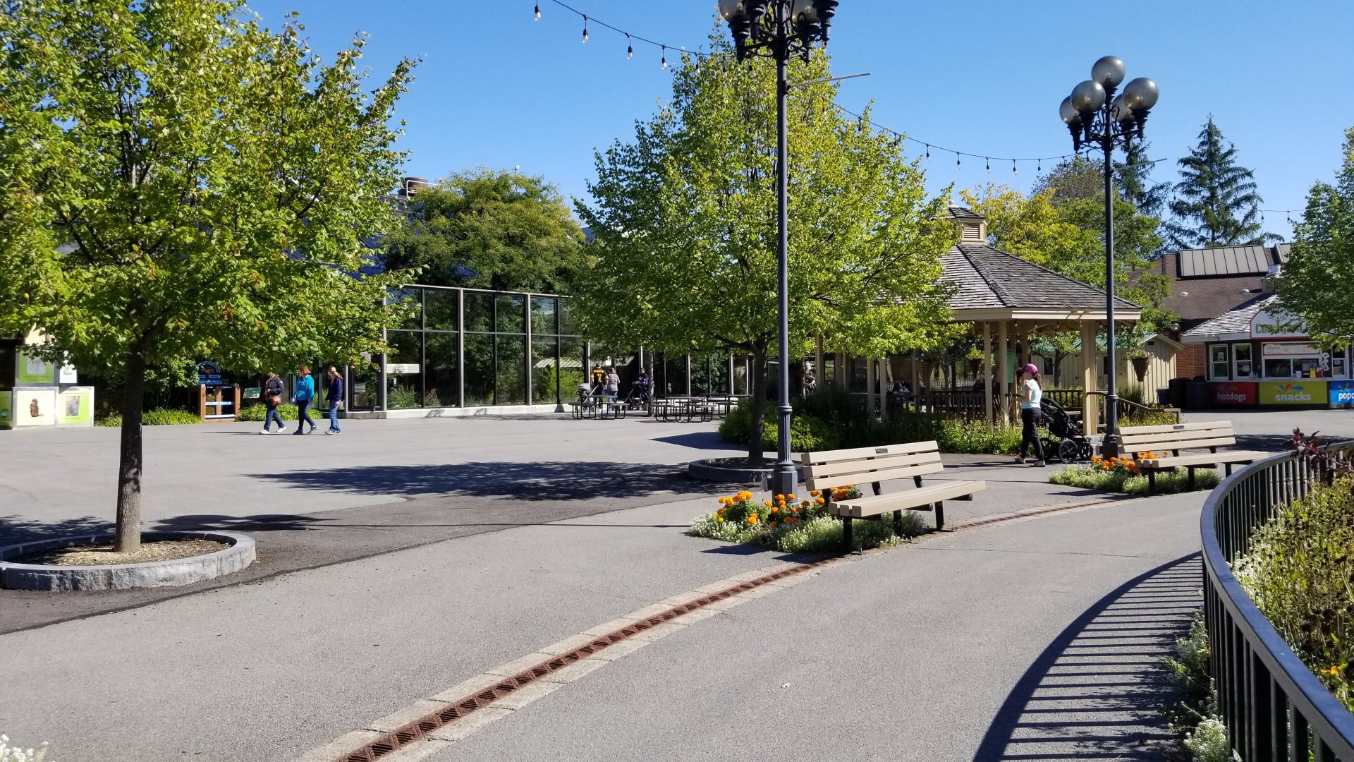 Rosamond Gifford - Sitting area, komodo dragon exhibit behind the glass