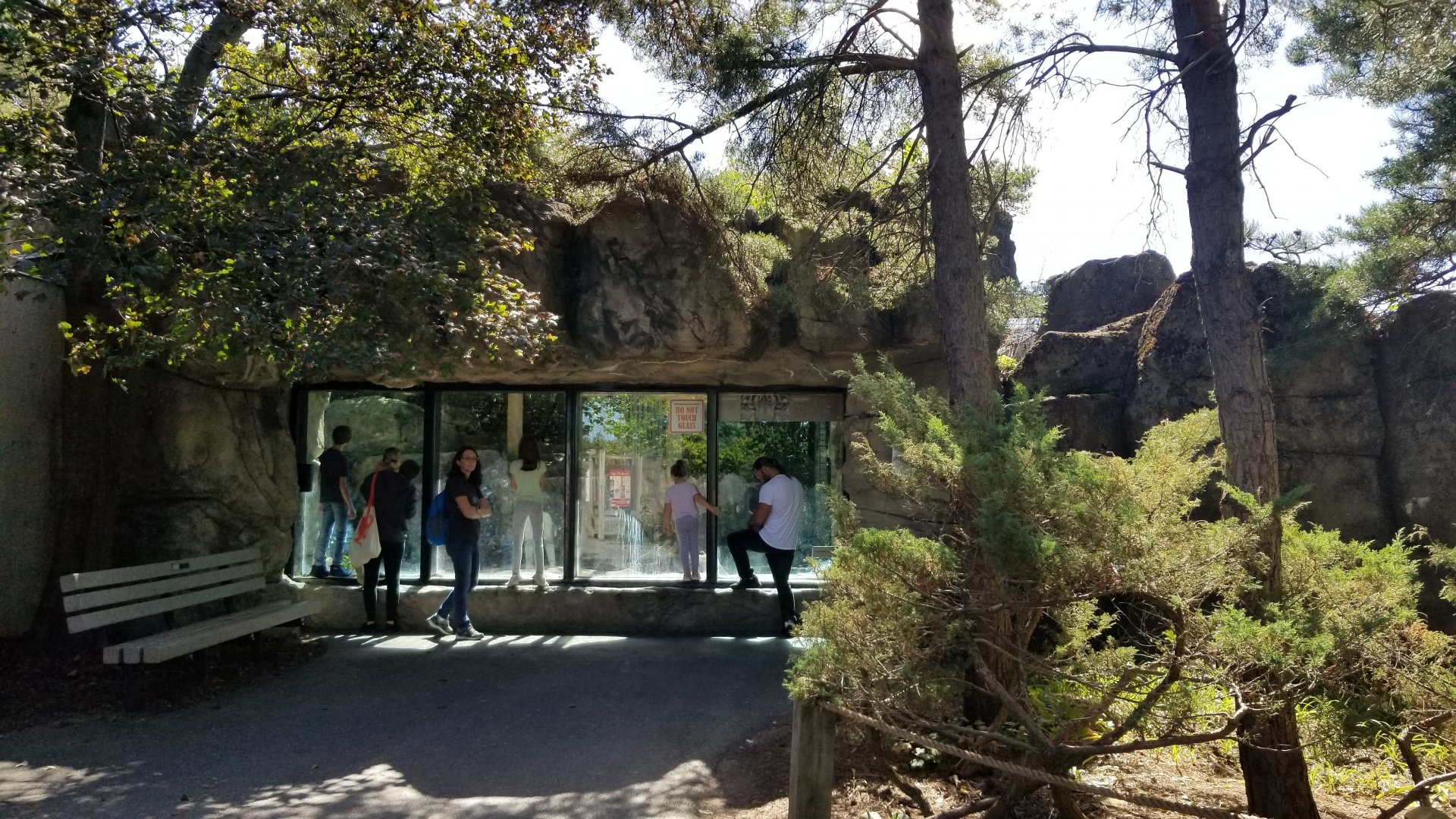 Rosamond Gifford - Snow leopard viewing window