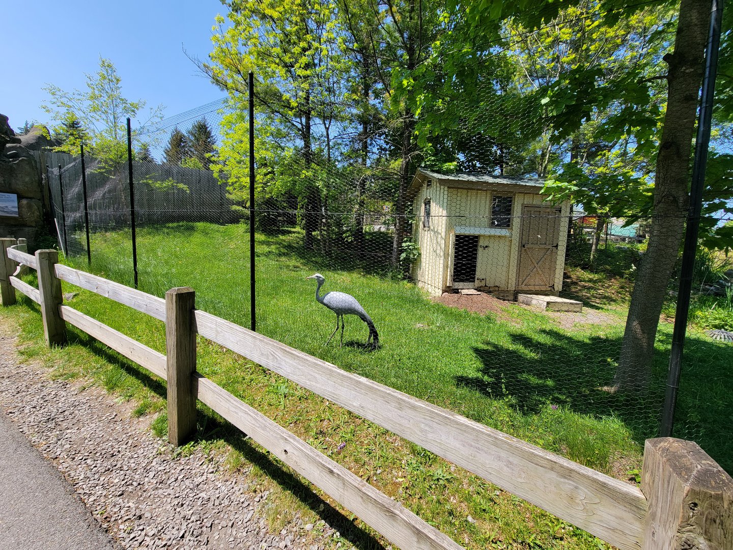 Rosamond Gifford - Stanley crane