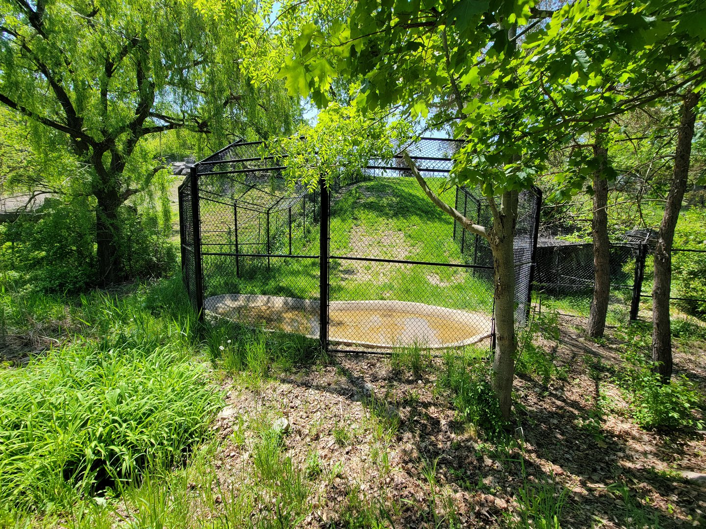 Rosamond Gifford - Takin pool