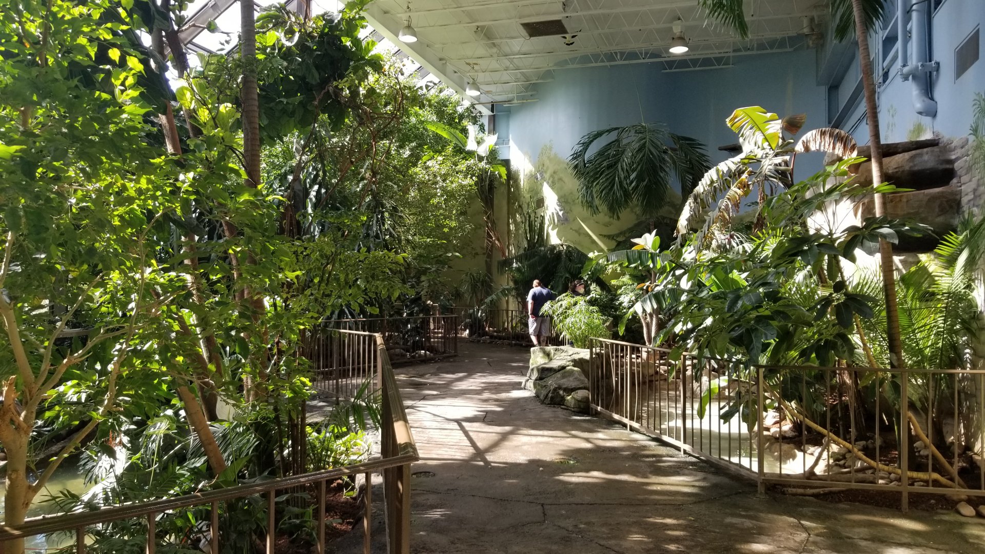 Rosamond Gifford - Tropical aviary