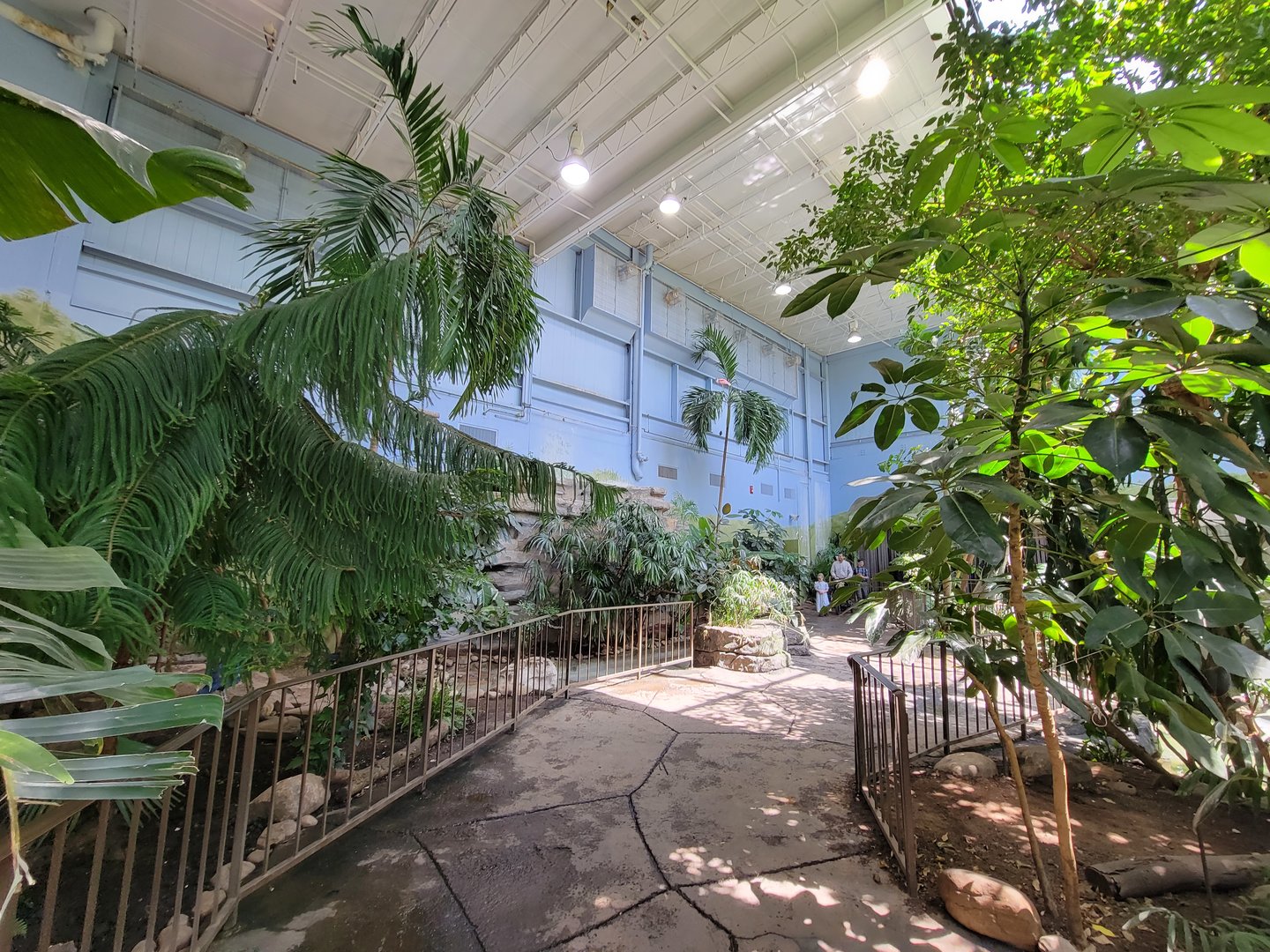 Rosamond Gifford - Tropical aviary