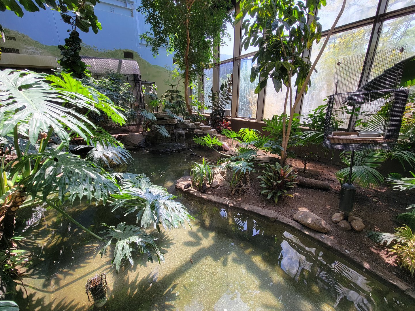 Rosamond Gifford - Tropical aviary