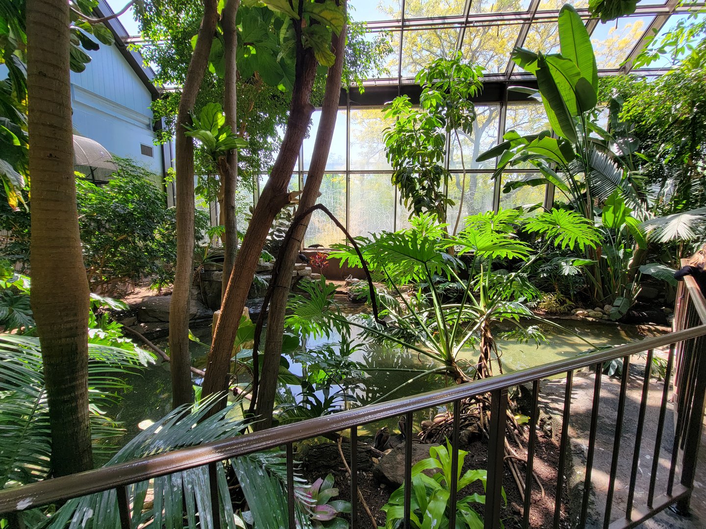 Rosamond Gifford - Tropical aviary