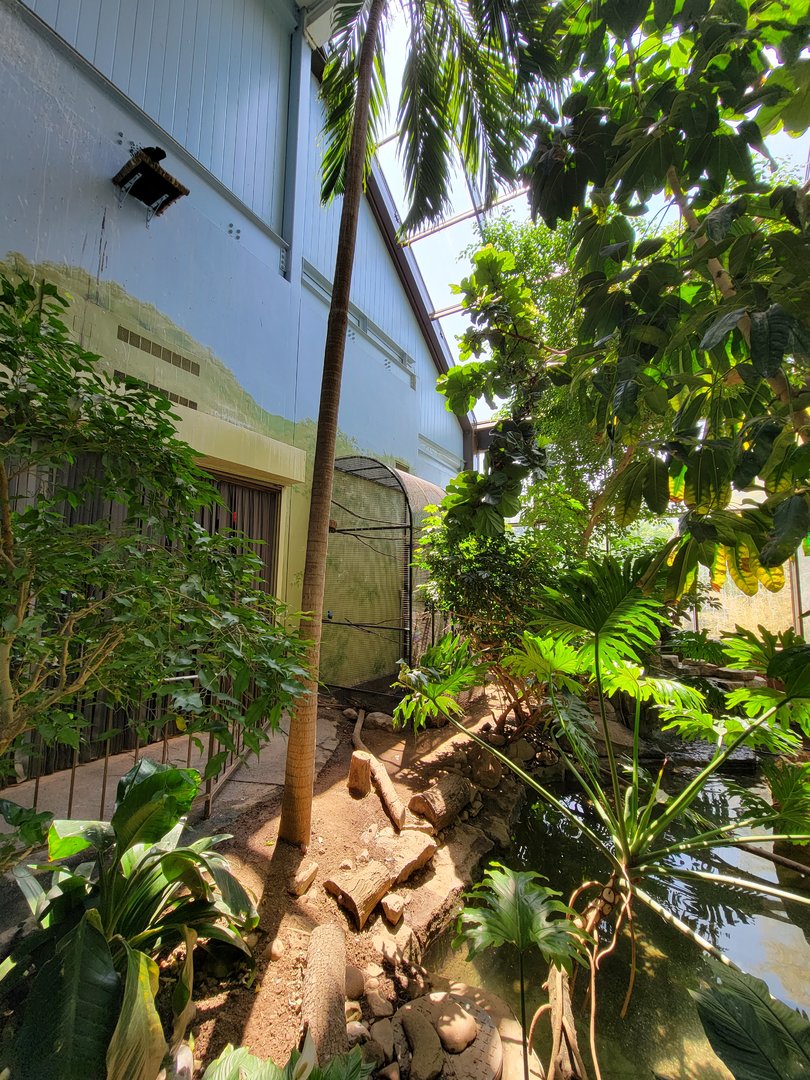 Rosamond Gifford - Tropical aviary