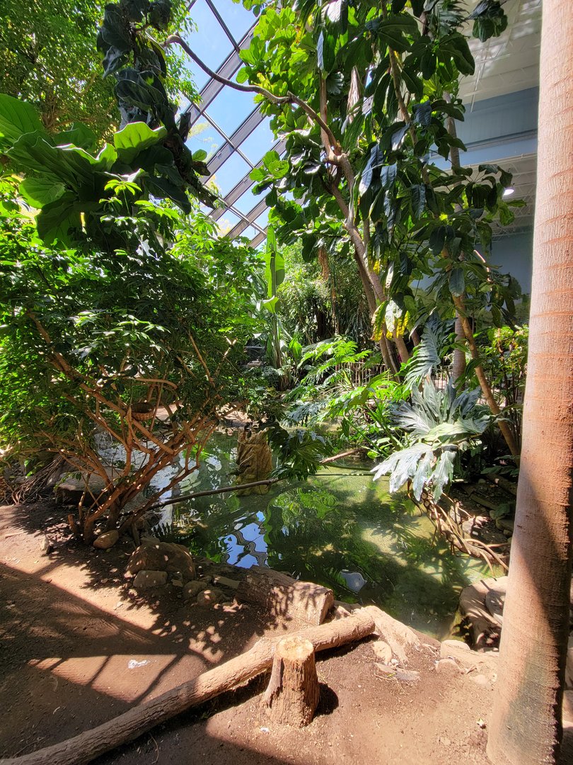 Rosamond Gifford - Tropical aviary