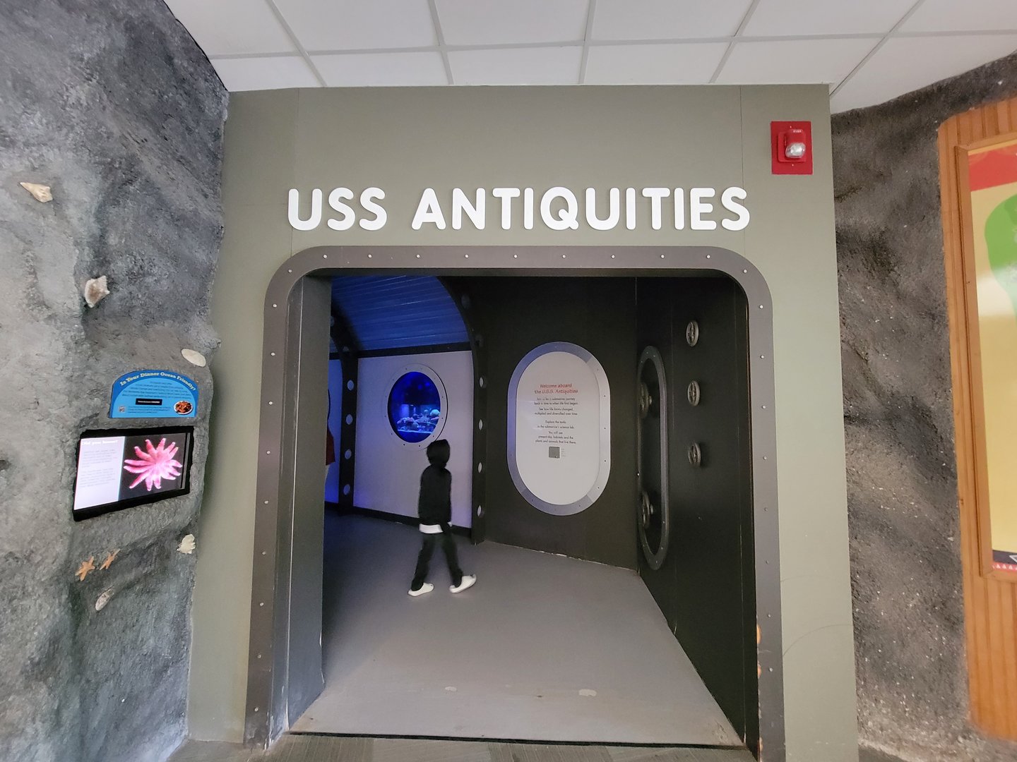 Rosamond Gifford - USS Antiquities entrance