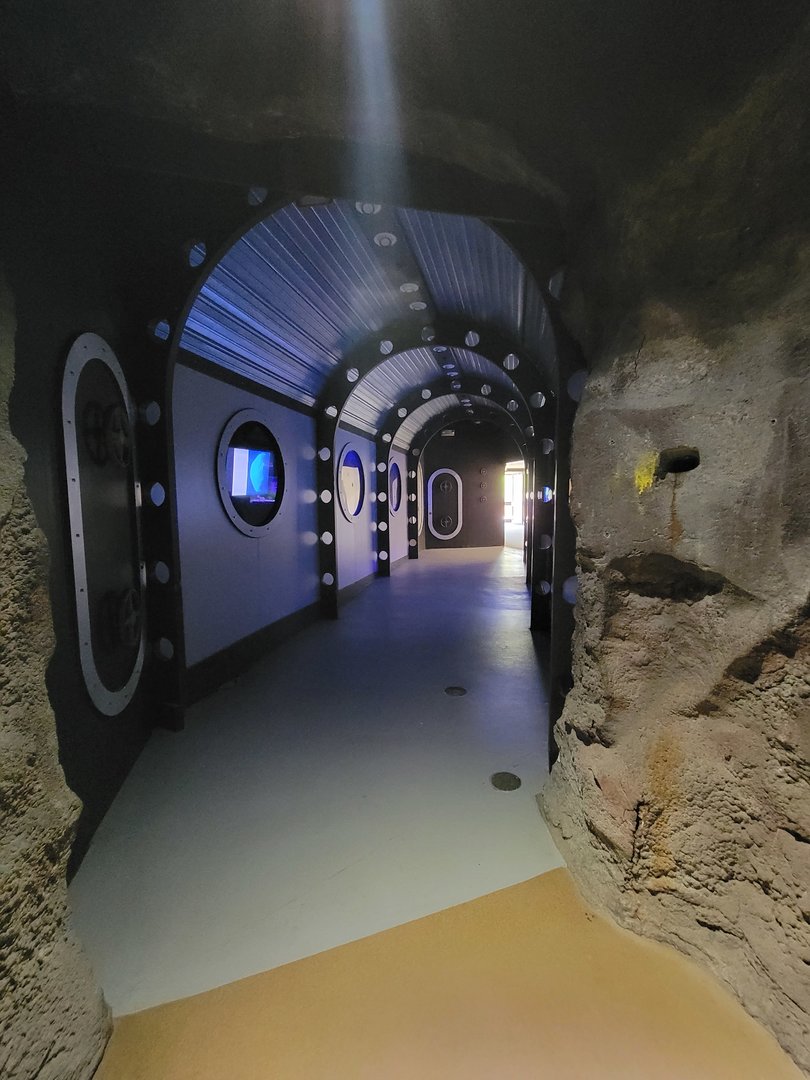 Rosamond Gifford - USS Antiquities from caves; fish on right, moon jellies on left