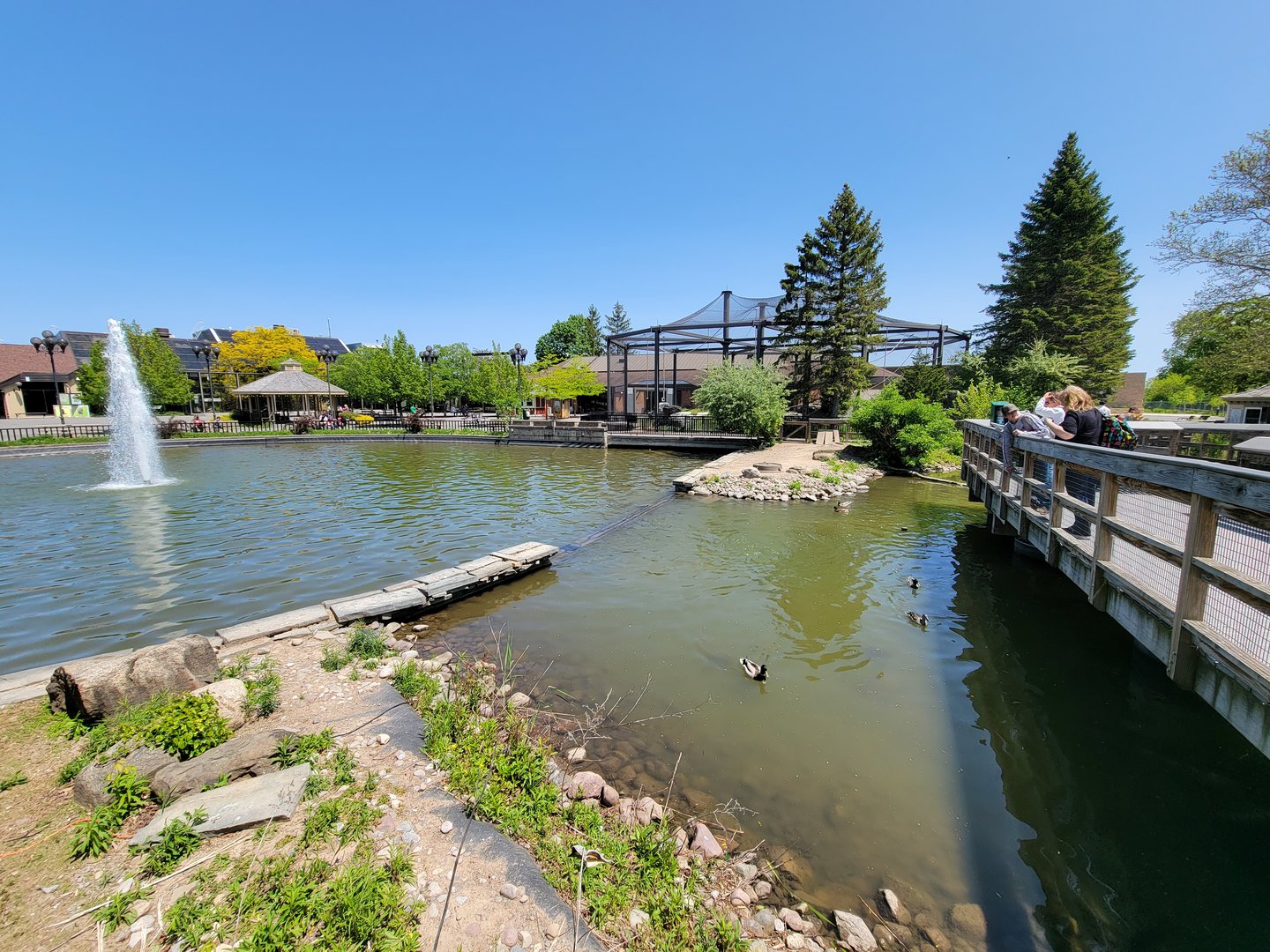 Rosamond Gifford - Waterfowl pond, with outdoor primate exhibit behind it