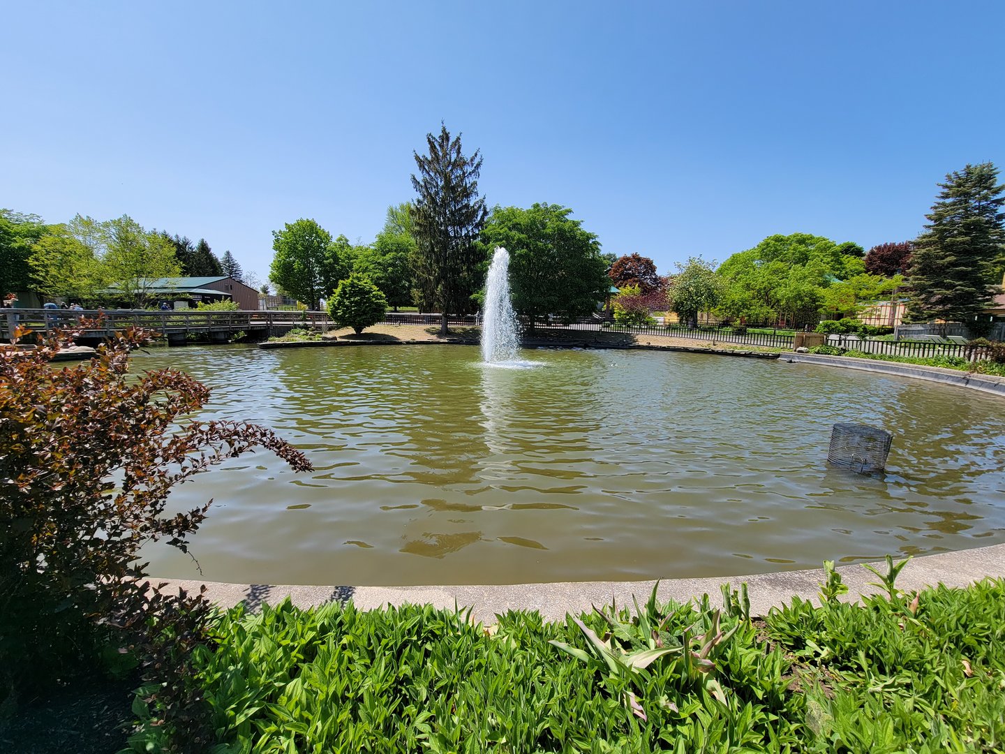 Rosamond Gifford - Waterfowl pond