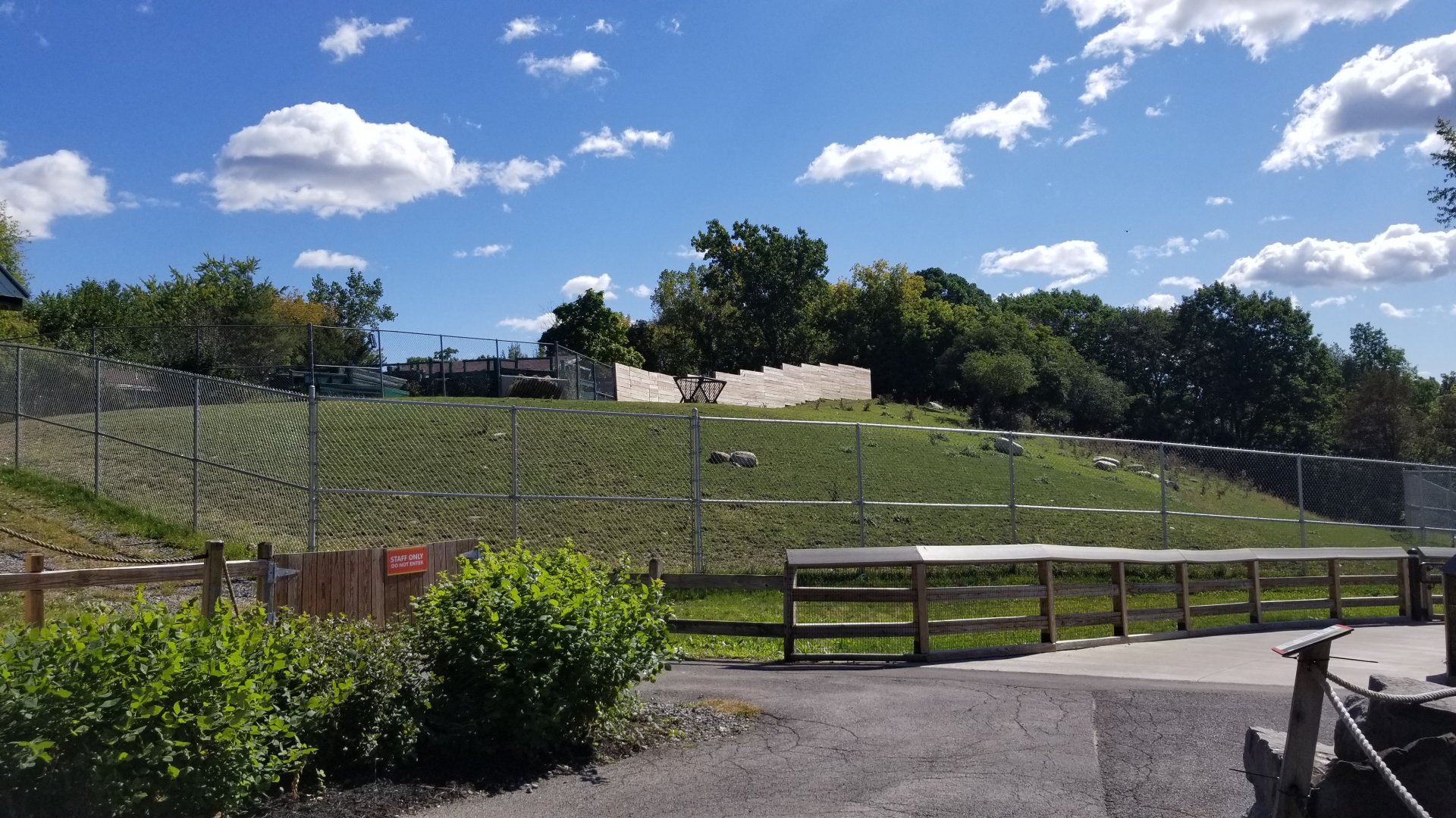 Rosamond Gifford - White-lipped deer