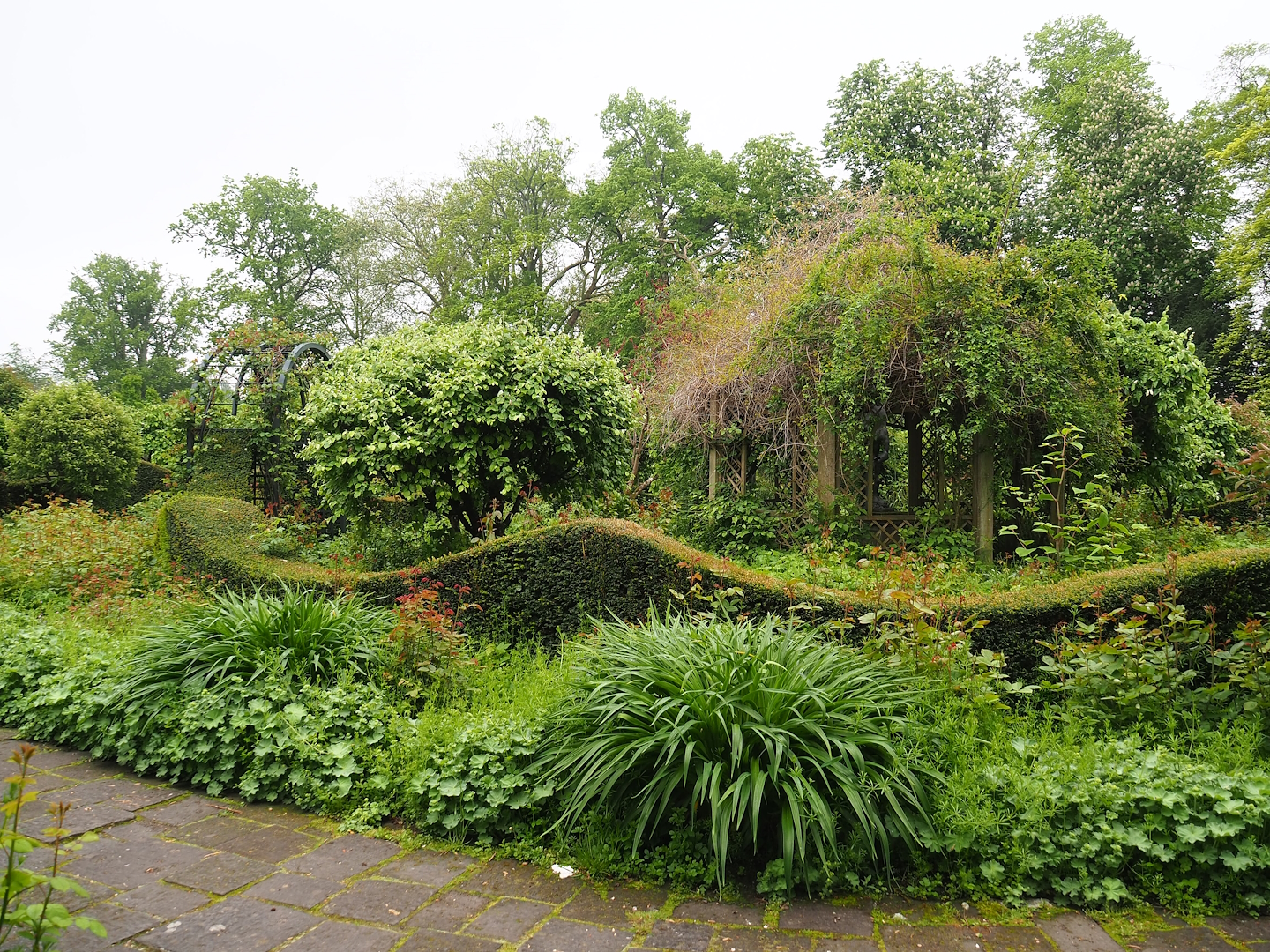 Rose garden, 2023-05-15