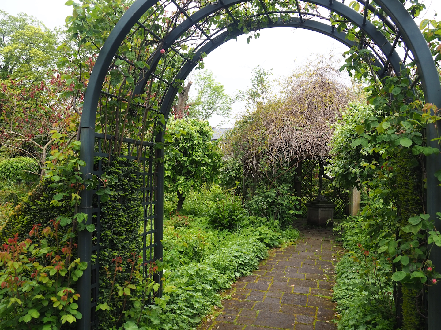 Rose garden, 2023-05-15