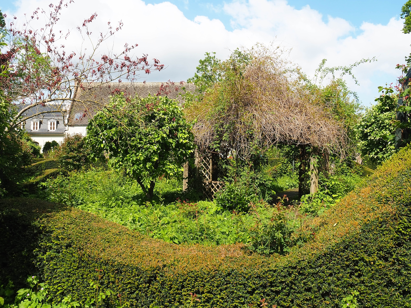 Rose garden, 2023-05-16