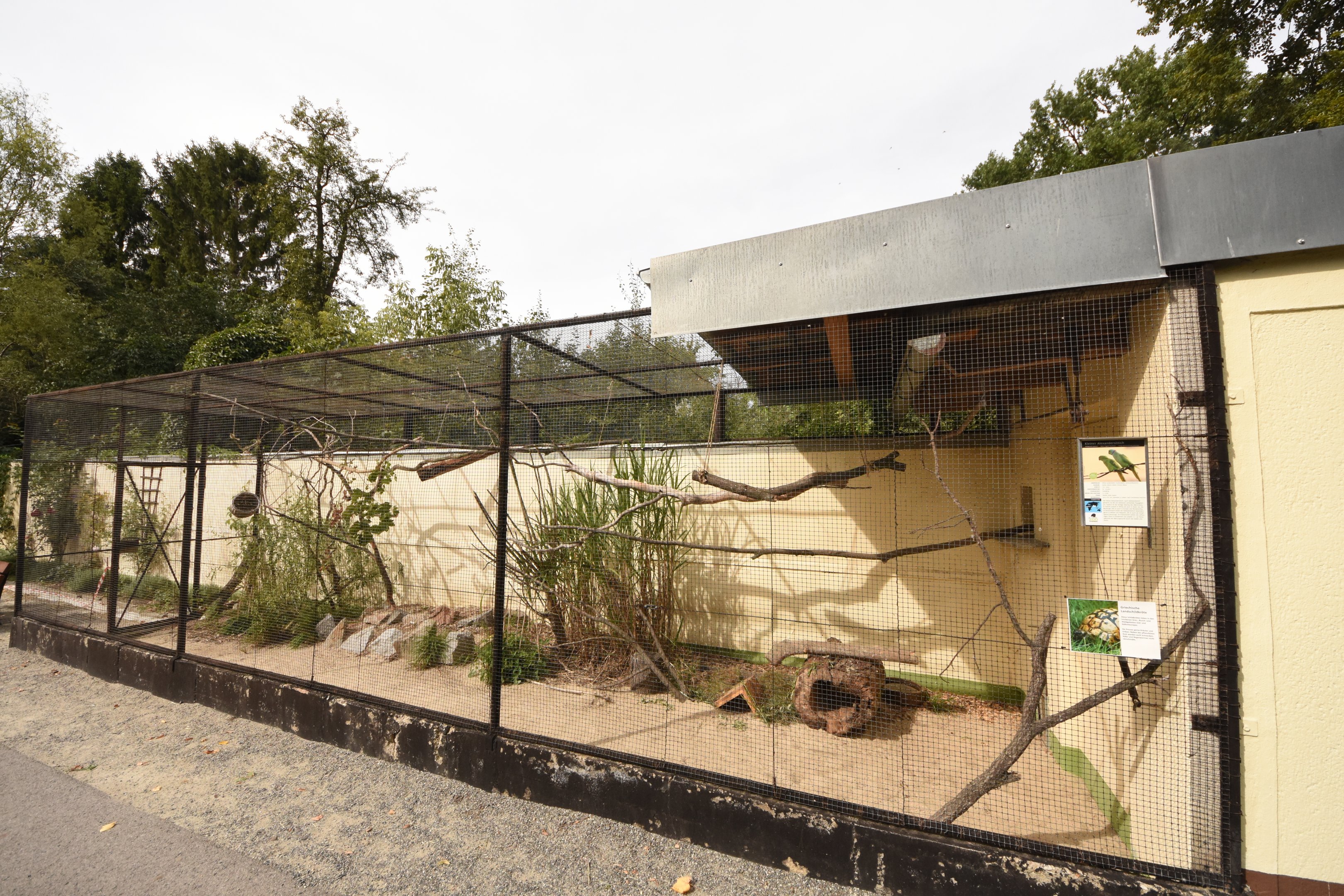 Rose-ringed parakeet & Tortoise enclosure