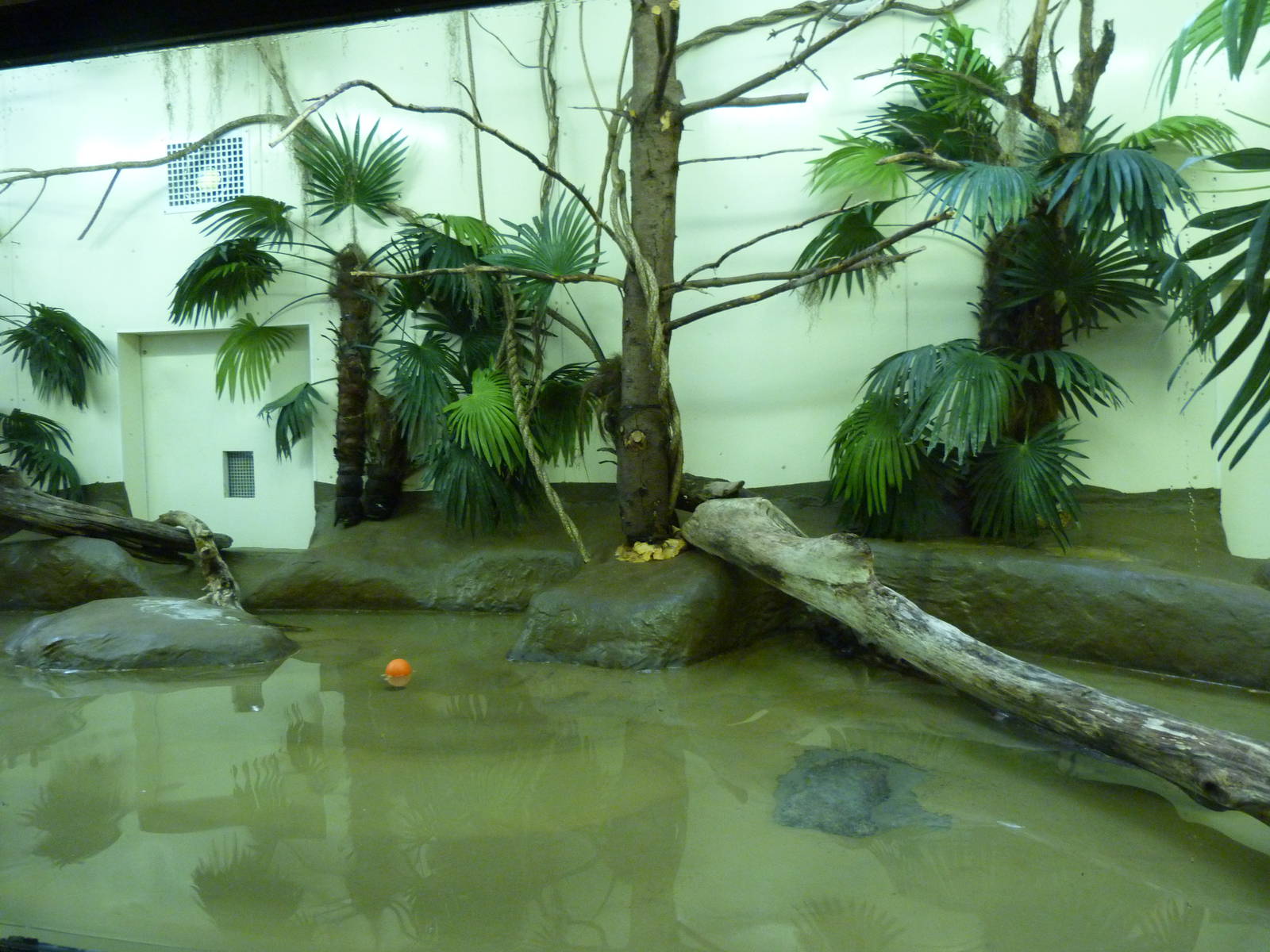 Roseate Spoonbill Exhibit