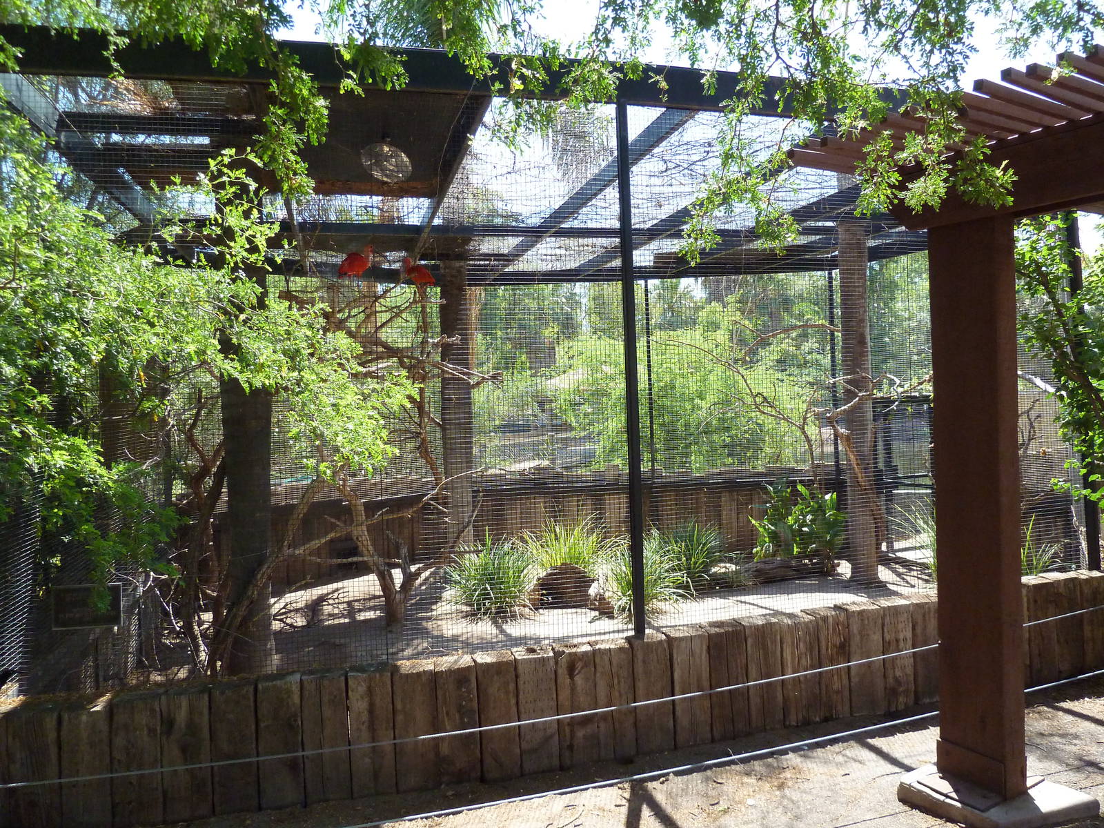 Roseate Spoonbill/Scarlet Ibis Exhibit