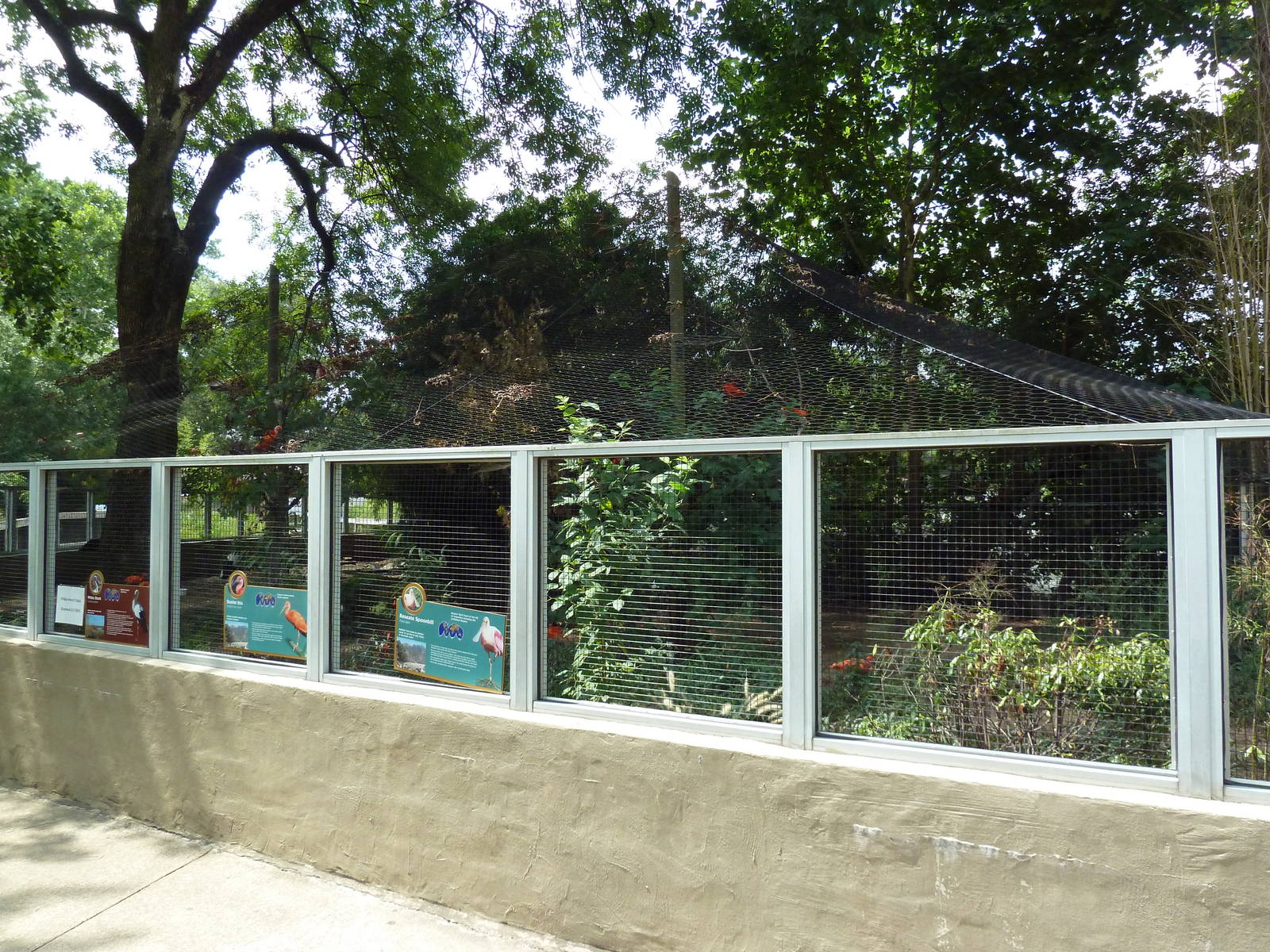 Roseate Spoonbill/White Stork/Scarlet Ibis Exhibit