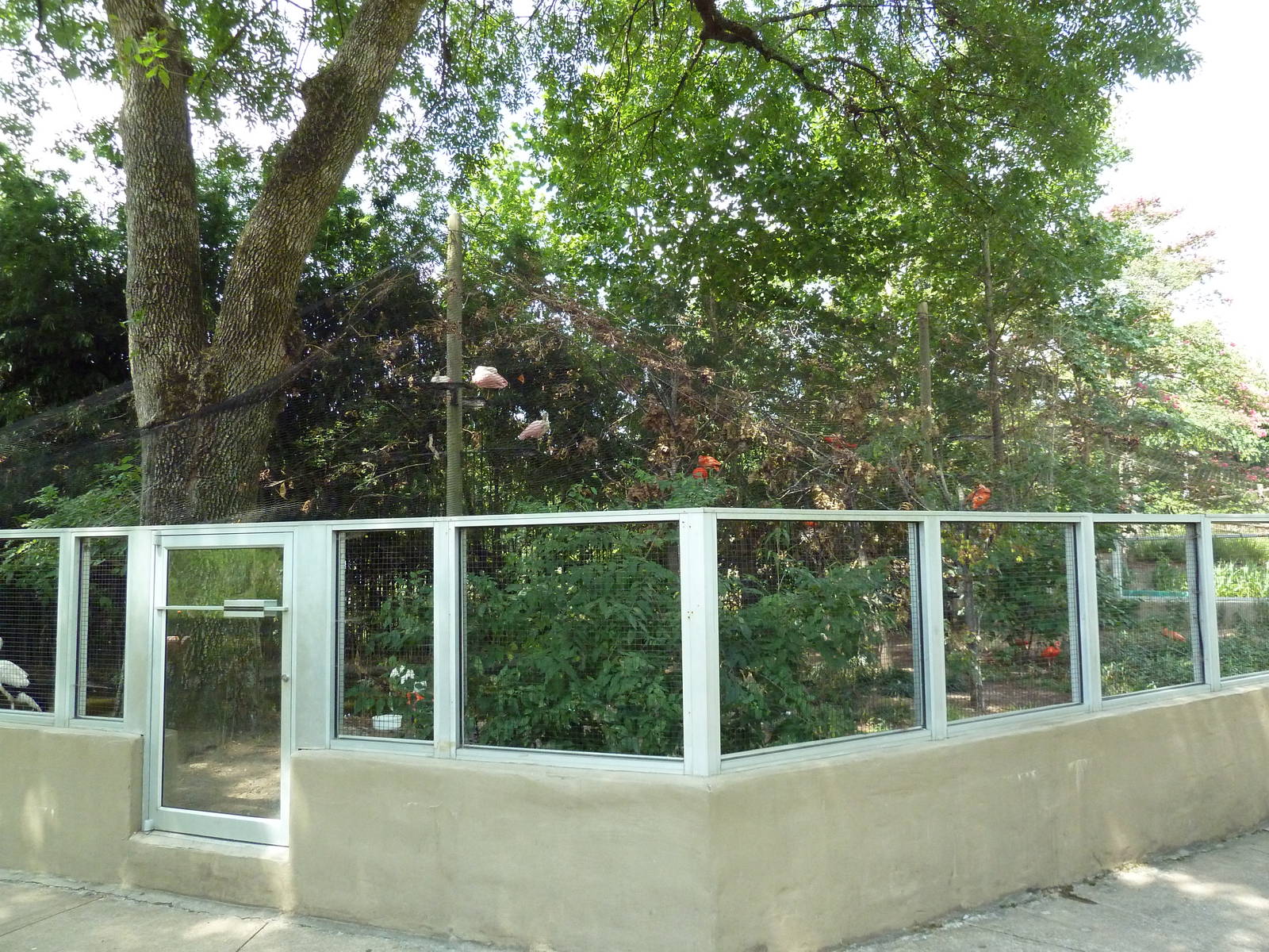 Roseate Spoonbill/White Stork/Scarlet Ibis Exhibit