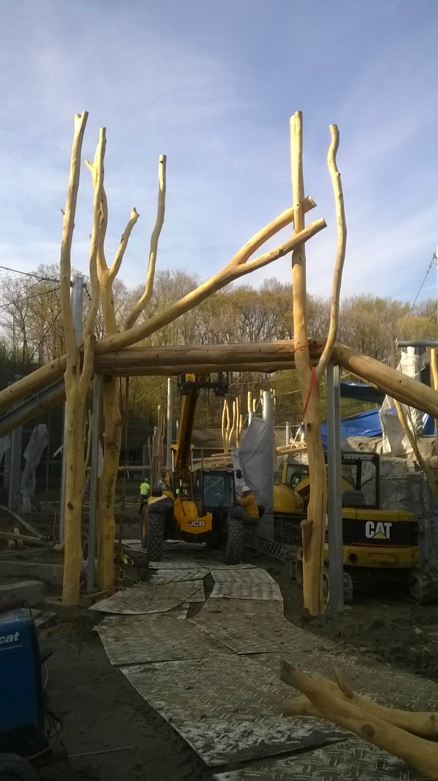 Rosebrough Tiger Passage - Construction Progress