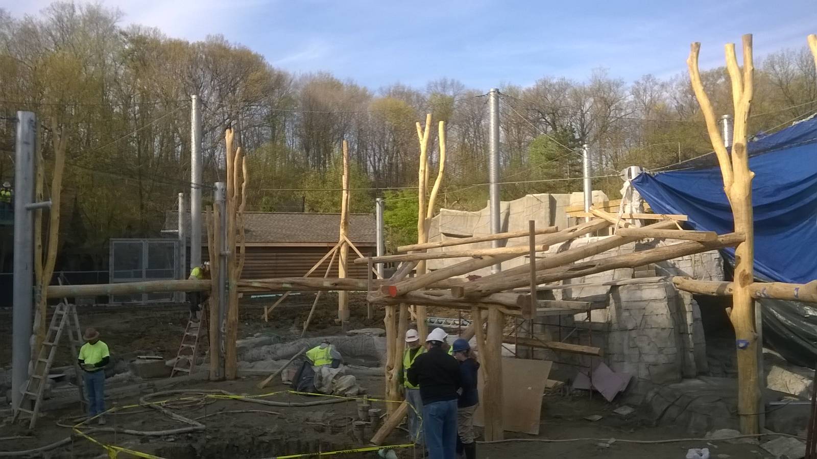 Rosebrough Tiger Passage - Construction Progress