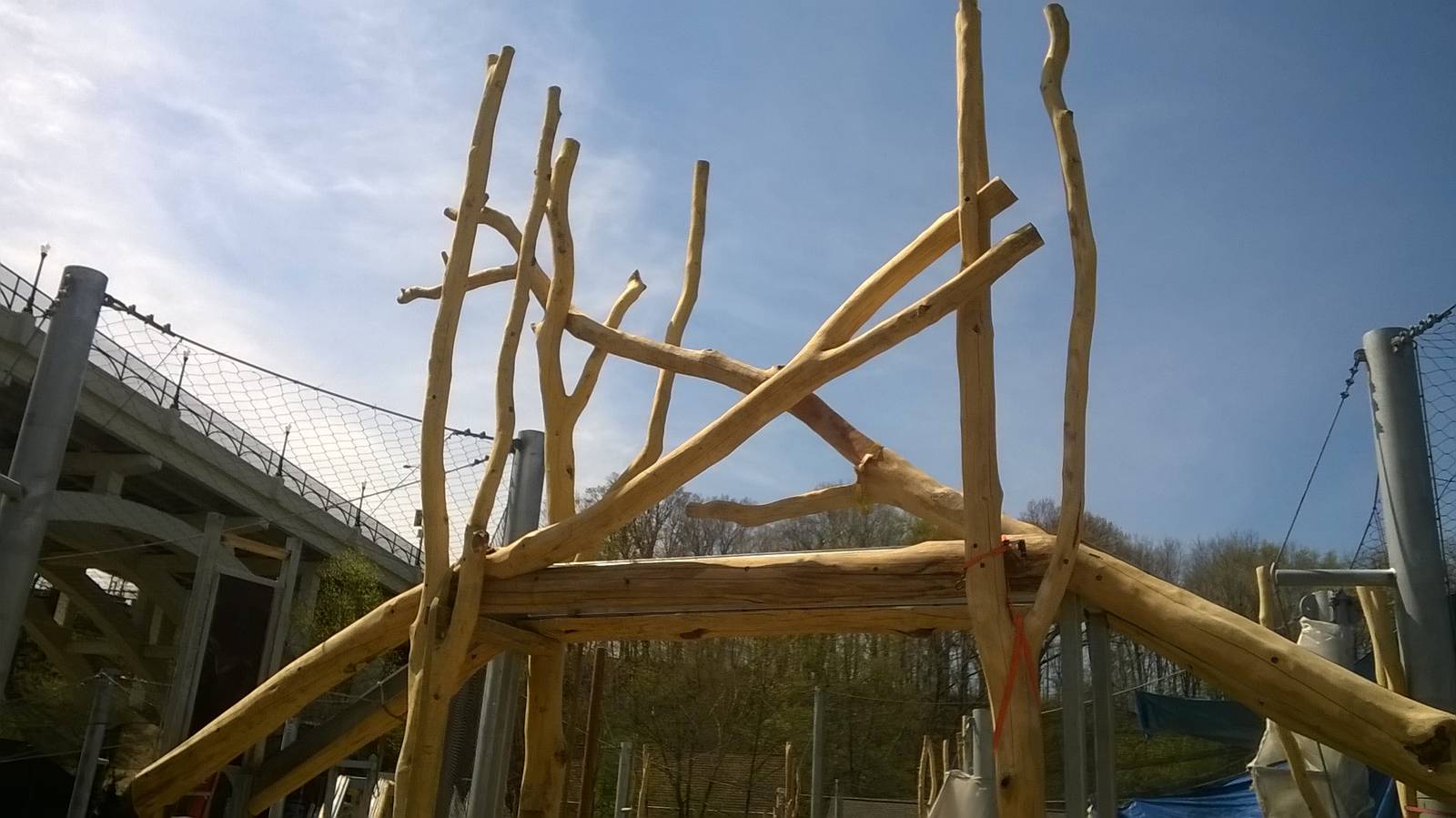 Rosebrough Tiger Passage - Construction Progress