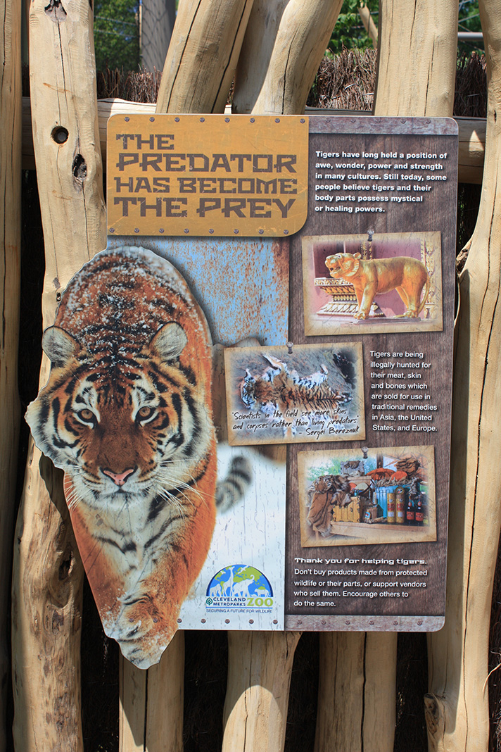 Rosebrough Tiger Passage - New June, 2016