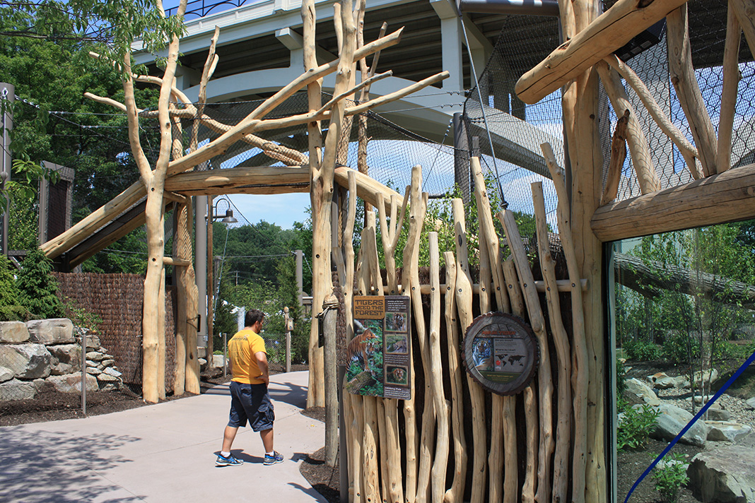 Rosebrough Tiger Passage - New June, 2016