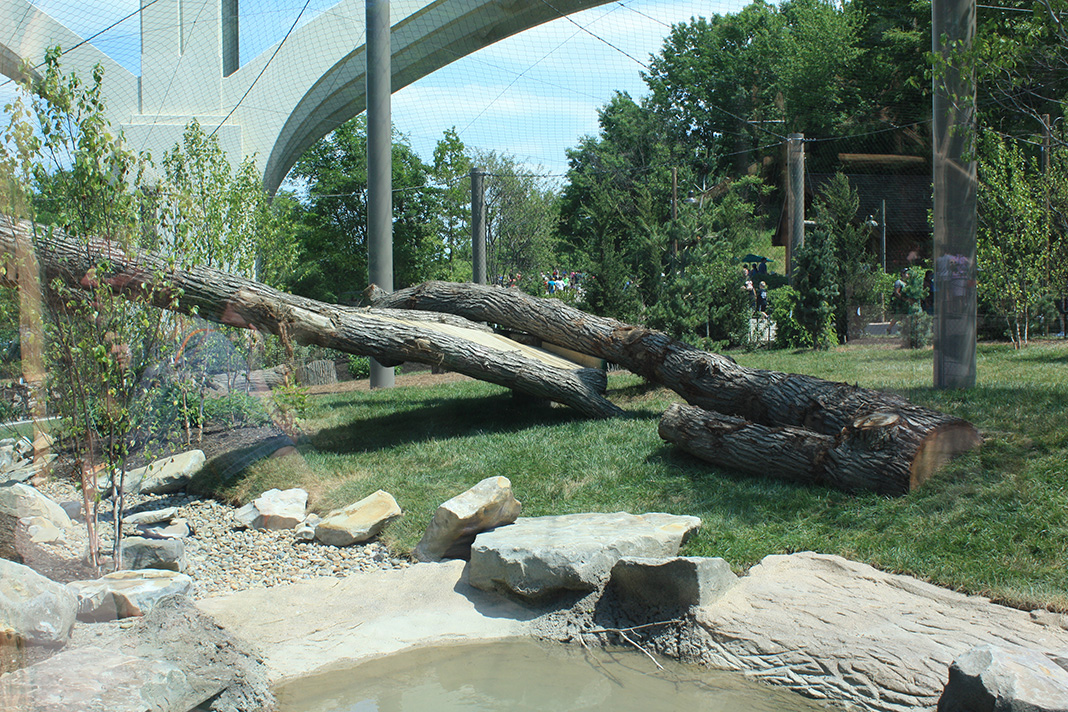 Rosebrough Tiger Passage - New June, 2016