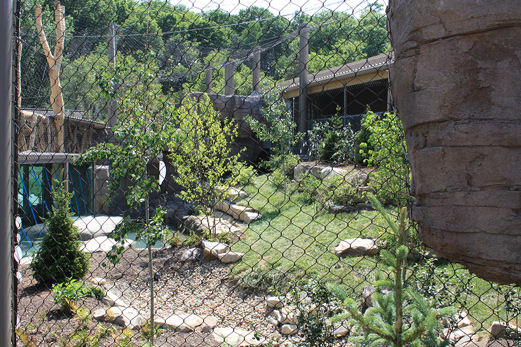 Rosebrough Tiger Passage - New June, 2016