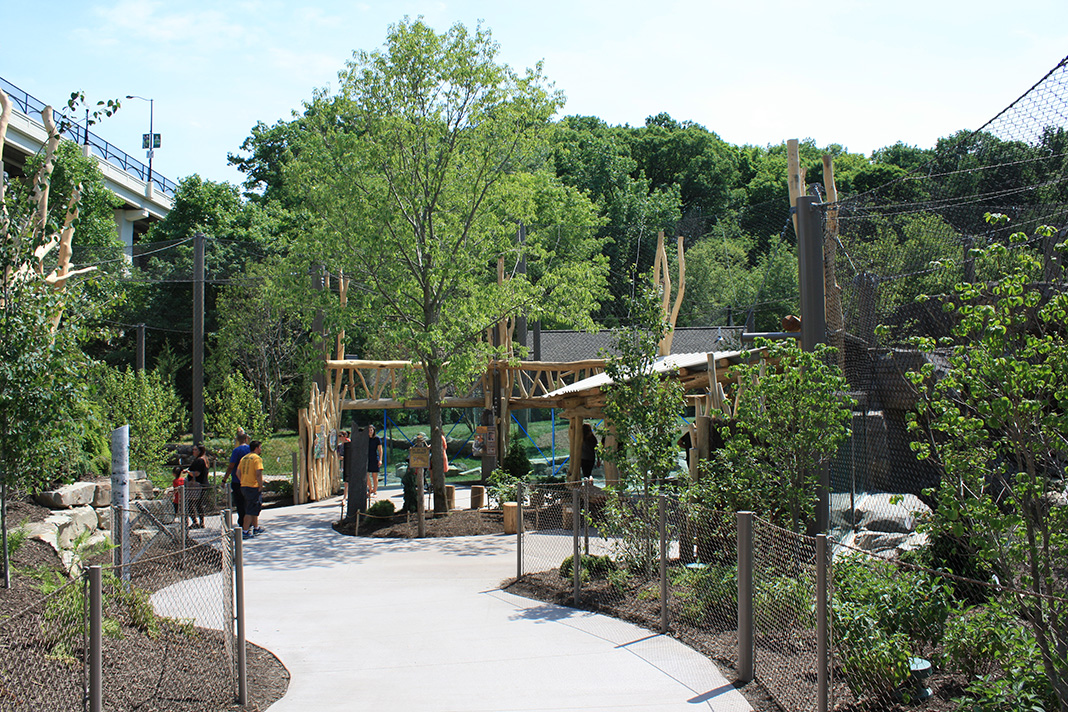 Rosebrough Tiger Passage - New June, 2016