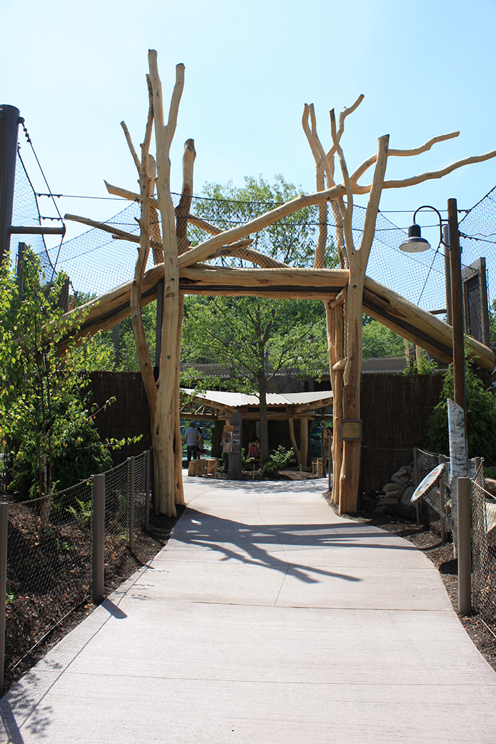 Rosebrough Tiger Passage - New June, 2016