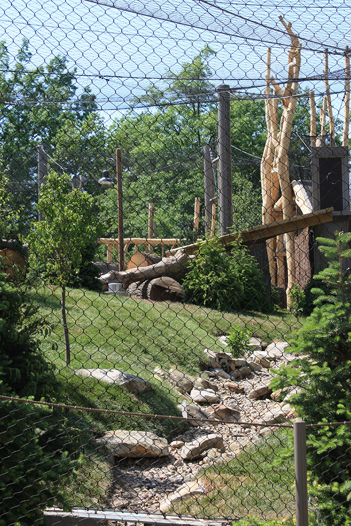 Rosebrough Tiger Passage - New June, 2016